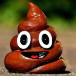 breakthrough-discoveries-highlight-latest-advances-in-science