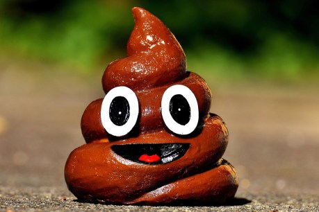 breakthrough-discoveries-highlight-latest-advances-in-science