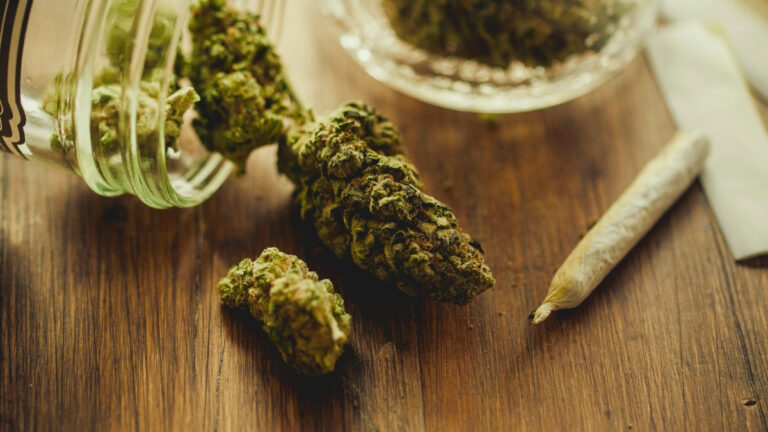 cannabis-use-linked-to-epigenetic-changes-study-reveals