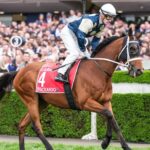 chris-waller-eyes-second-melbourne-cup-with-buckaroo-and-valiant-king