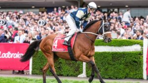 chris-waller-eyes-second-melbourne-cup-with-buckaroo-and-valiant-king
