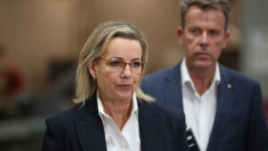 coalition-energy-plan-criticized-for-missing-key-details