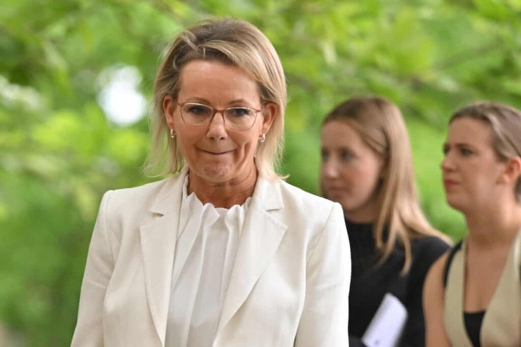 coalition-faces-leadership-crisis-as-liberals-struggle-to-regain-ground