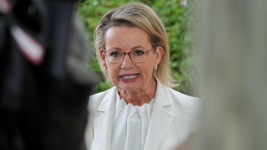 coalition-outlines-conditions-for-supporting-labor-s-environmental-reforms