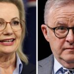 coalition-s-primary-vote-hits-record-low-as-opposition-leader-struggles