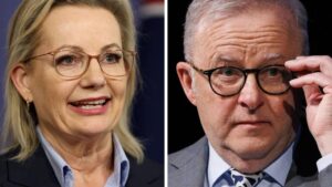 coalition-s-primary-vote-hits-record-low-as-opposition-leader-struggles