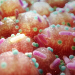 common-medications-irrevocably-alter-gut-microbiomes-study-shows