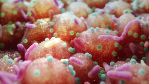 common-medications-irrevocably-alter-gut-microbiomes-study-shows