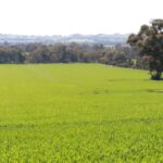 community-consultation-announced-for-central-north-renewable-zone