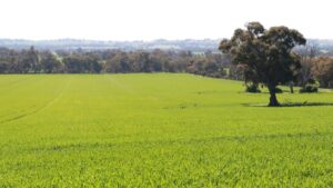 community-consultation-announced-for-central-north-renewable-zone