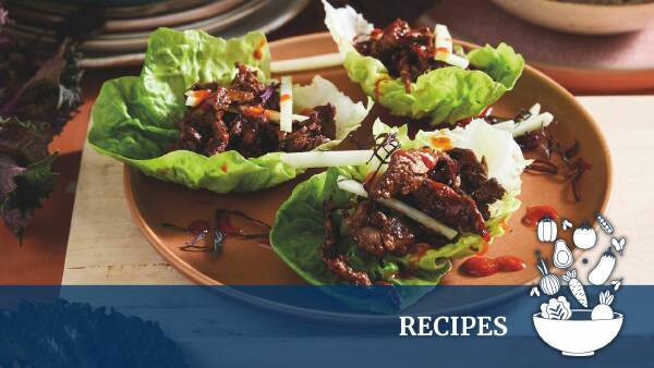 cook-like-a-pro-masterchef-s-new-cookbook-inspires-home-chefs