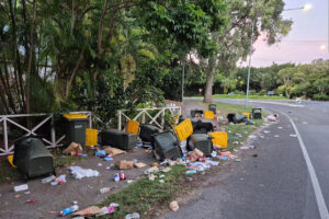 council-issues-urgent-24-hour-bin-rule-after-vandalism-in-queensland