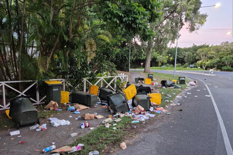 council-issues-urgent-24-hour-bin-rule-after-vandalism-in-queensland