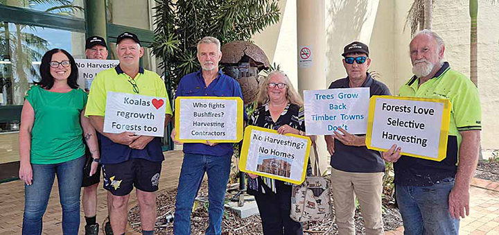 council-votes-urgently-to-oppose-native-forest-harvesting-plan