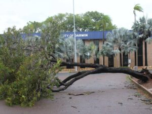 cyclone-fina-hits-darwin-residents-safe-damage-less-severe