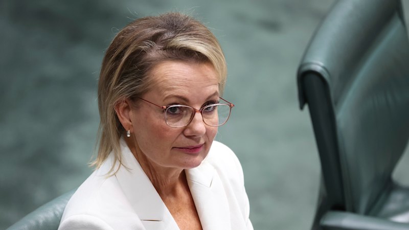 delhi-car-blast-kills-8-trump-threatens-bbc-with-1b-lawsuit