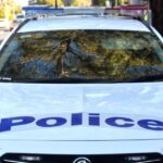 drug-influenced-driver-caught-running-red-light-in-brooklyn