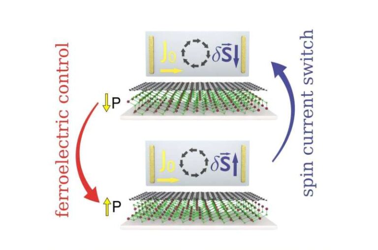 european-researchers-control-spin-currents-in-graphene-using-ferroelectric-switching