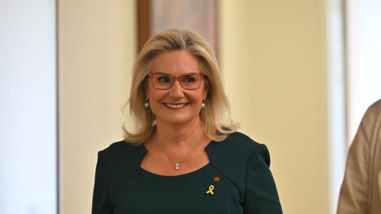 ex-senator-quits-liberals-amid-urgent-climate-policy-debate