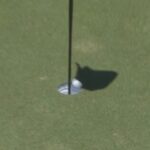 fans-miss-1m-prize-by-inches-at-australian-pga-championship