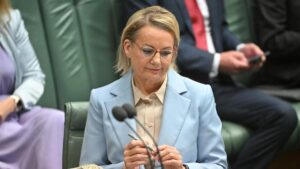 former-liberal-leader-blasts-sussan-ley-amid-party-turmoil