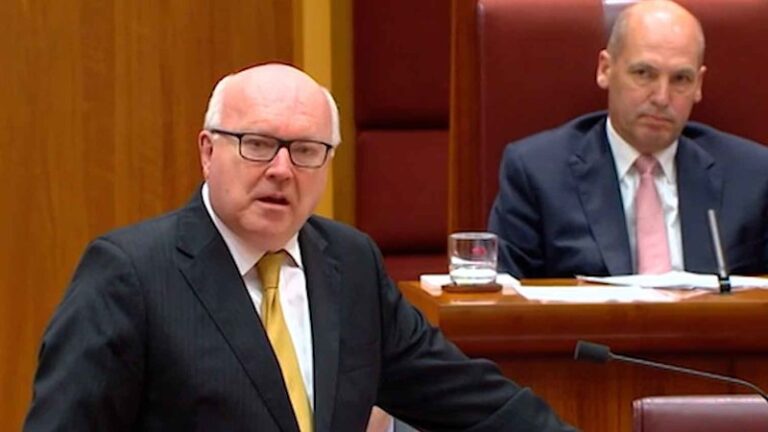 george-brandis-condemns-islamophobia-after-hanson-s-burqa-stunt