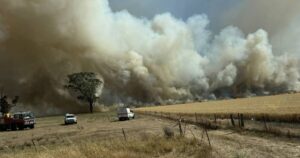 grass-fire-threatens-corowa-homes-no-losses-reported-after-battle