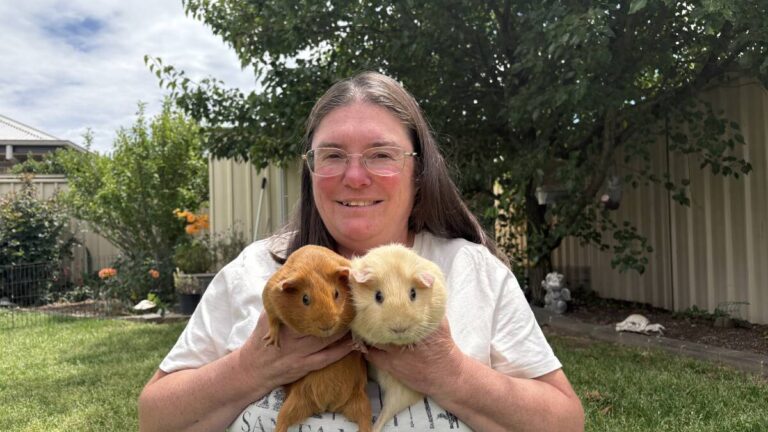 guinea-pig-therapy-launches-to-help-children-overcome-fears