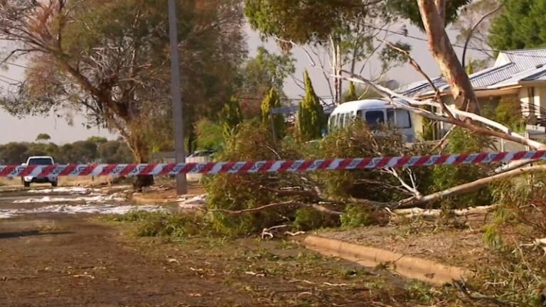 historic-storm-devastates-port-pirie-south-australia-urgent-update