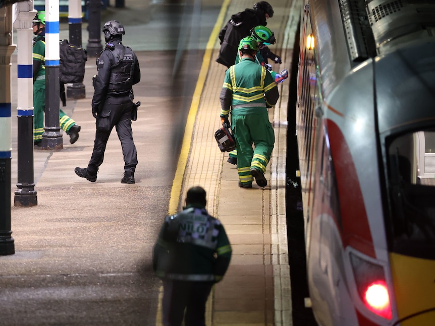 india-and-south-africa-clash-for-first-women-s-odi-world-cup-title