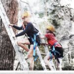 instructor-charged-after-alleged-assault-of-three-girls-at-camp