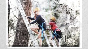 instructor-charged-after-alleged-assault-of-three-girls-at-camp