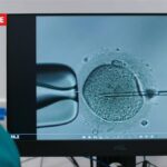 One in 18 Australian babies are born through IVF.