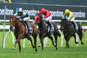 jimmysstar-claims-3-million-russell-balding-stakes-victory