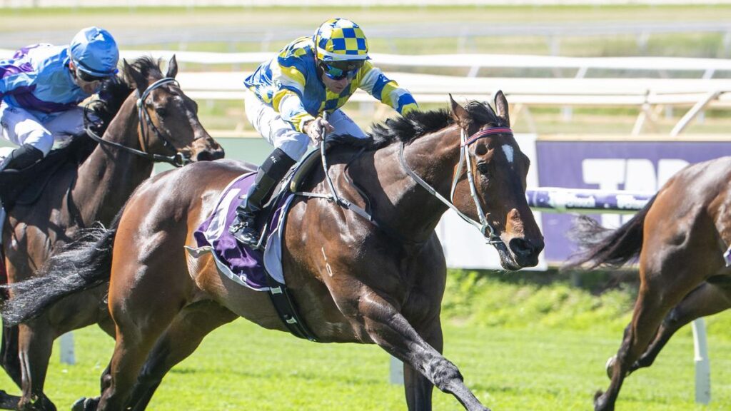 Jokers Grin wins the 2025 Prince Of Wales Stakes for jockey Patrick Carbery