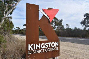 kingston-district-council-launches-urgent-disability-access-plan