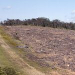 labor-faces-major-hurdles-in-urgent-push-for-nature-laws