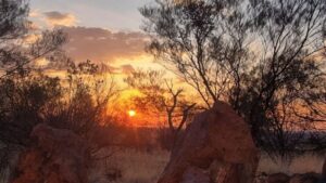 litchfield-minerals-unveils-new-geophysical-survey-at-oonagalabi