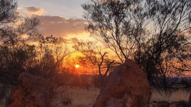 litchfield-minerals-unveils-new-geophysical-survey-at-oonagalabi