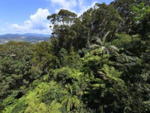 mining-sector-pushes-for-swift-passage-of-nature-reforms