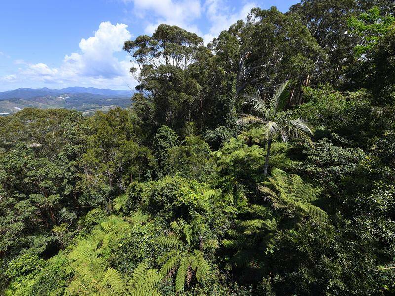 mining-sector-pushes-for-swift-passage-of-nature-reforms