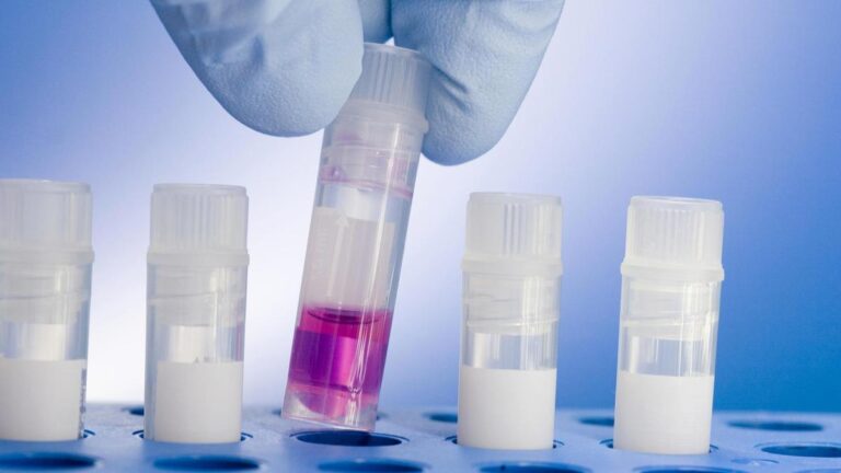 monash-ivf-faces-new-regulatory-conditions-after-embryo-errors