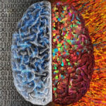 multilingualism-linked-to-slower-brain-aging-large-study-finds