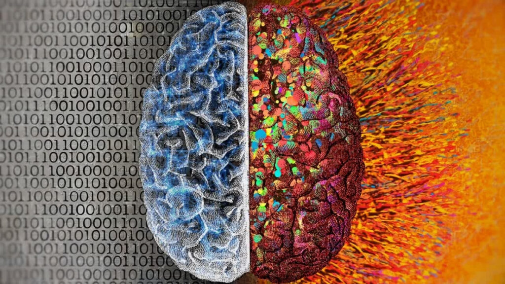 multilingualism-linked-to-slower-brain-aging-new-study-reveals