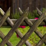 neighbour-s-intrusion-disrupts-woman-s-sunbathing-routine