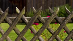 neighbour-s-intrusion-disrupts-woman-s-sunbathing-routine