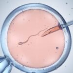 new-guidelines-aim-to-improve-male-fertility-assessment