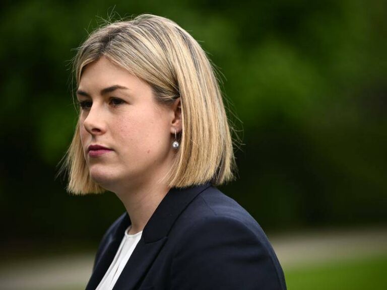 new-liberal-leader-jess-wilson-faces-immediate-criticism