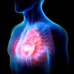 new-study-raises-concerns-about-melatonin-and-heart-health-1