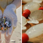 nsw-bans-more-single-use-plastics-urgent-crackdown-begins